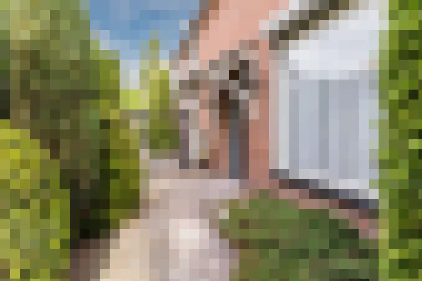 Lorskensstraat 1 Schaijk thumbnail 5