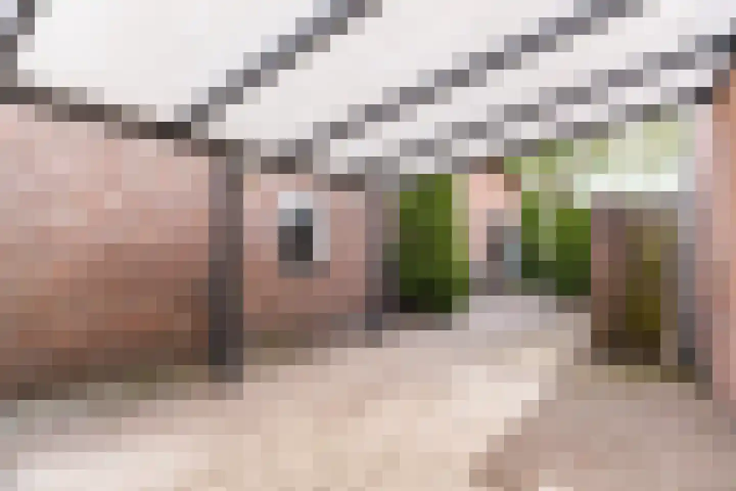 Lorskensstraat 1 Schaijk thumbnail 59