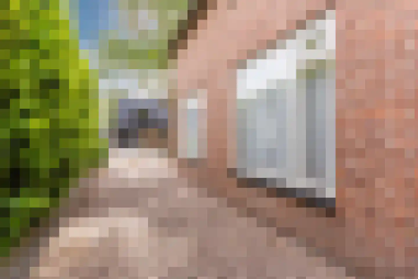 Lorskensstraat 1 Schaijk thumbnail 61
