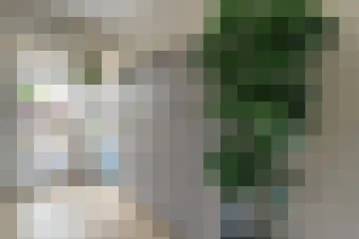 Lortzinghof 63 Zwolle thumbnail 11