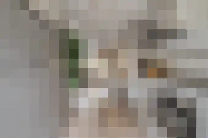 Lortzinghof 63 Zwolle thumbnail 12