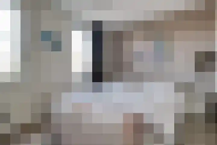Lortzinghof 63 Zwolle thumbnail 15