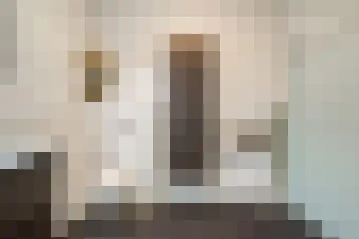 Lortzinghof 63 Zwolle thumbnail 20