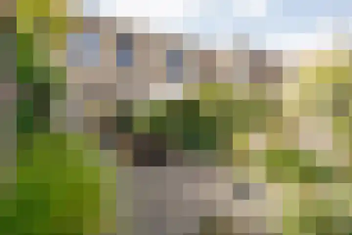 Lortzinghof 63 Zwolle thumbnail 22