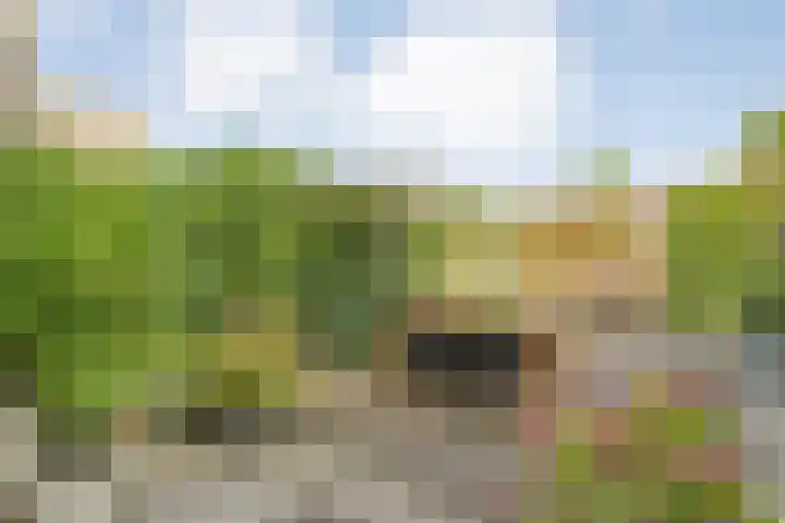 Lortzinghof 63 Zwolle thumbnail 23