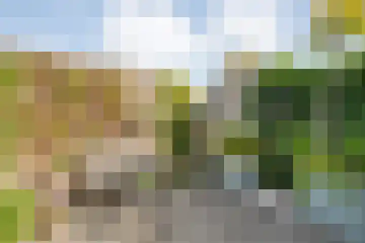 Lortzinghof 63 Zwolle thumbnail 24