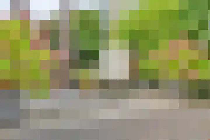 Lortzinghof 63 Zwolle thumbnail 25
