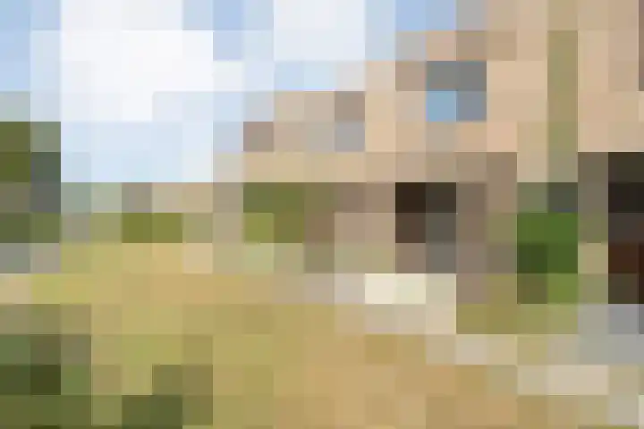 Lortzinghof 63 Zwolle thumbnail 26