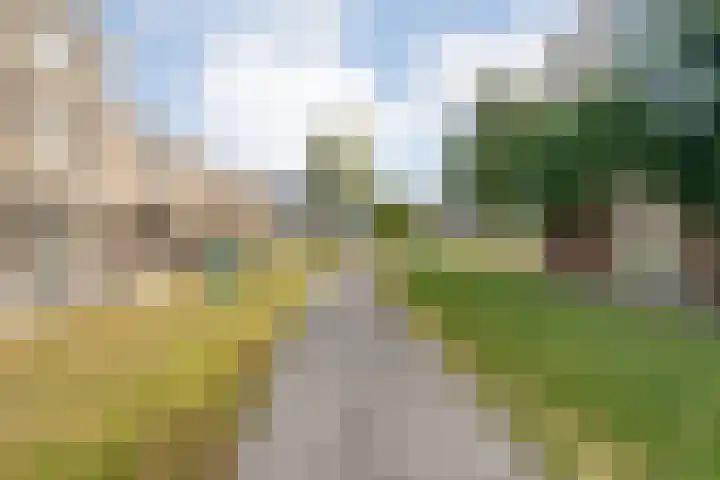Lortzinghof 63 Zwolle thumbnail 27