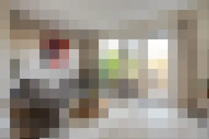 Lortzinghof 63 Zwolle thumbnail 4
