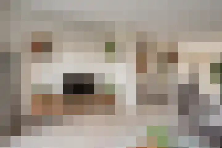Lortzinghof 63 Zwolle thumbnail 7