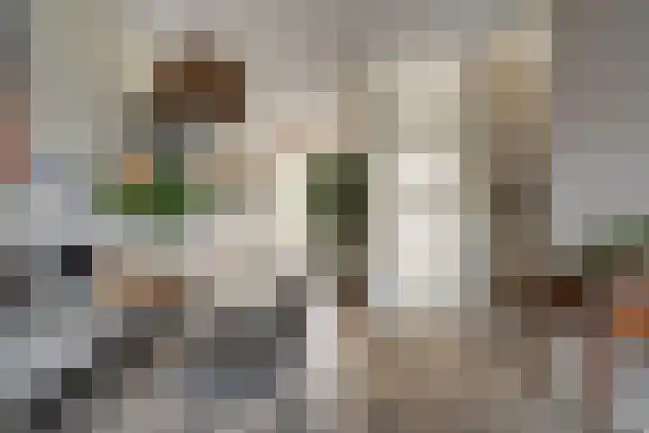 Lortzinghof 63 Zwolle thumbnail 9