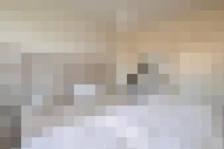 Lortzingstraat 1 Waalwijk thumbnail 11