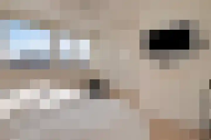 Lortzingstraat 1 Waalwijk thumbnail 12