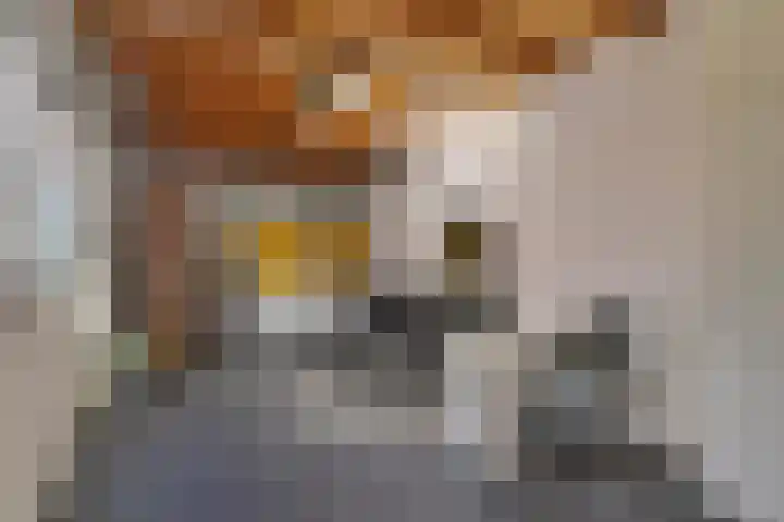 Lortzingstraat 1 Waalwijk thumbnail 20