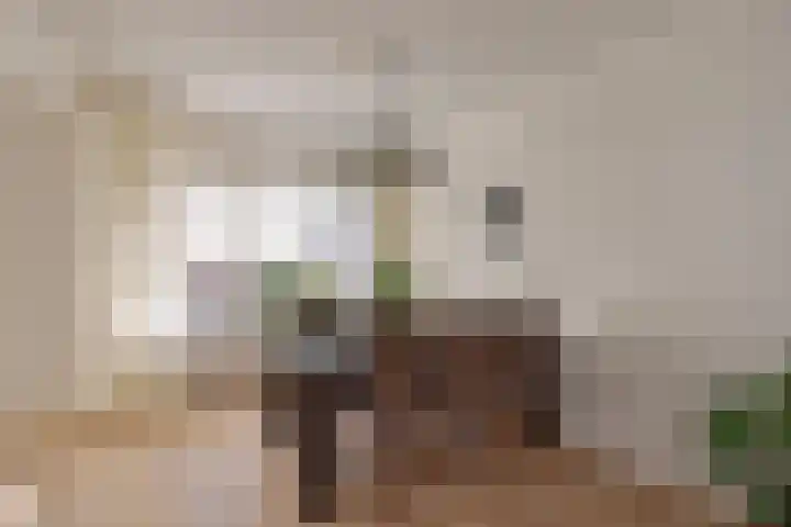Lortzingstraat 1 Waalwijk thumbnail 7