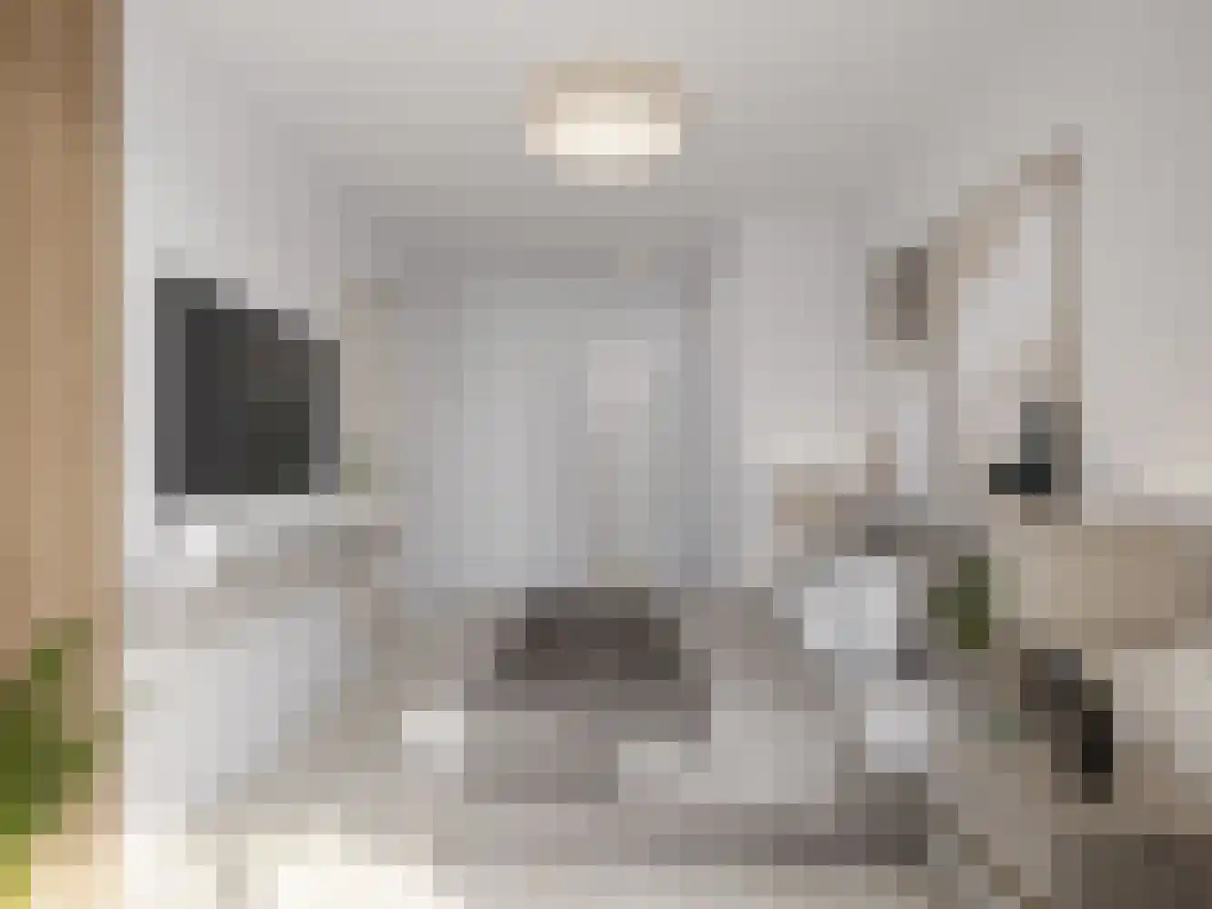 Los Angelesstraat Almere thumbnail 4