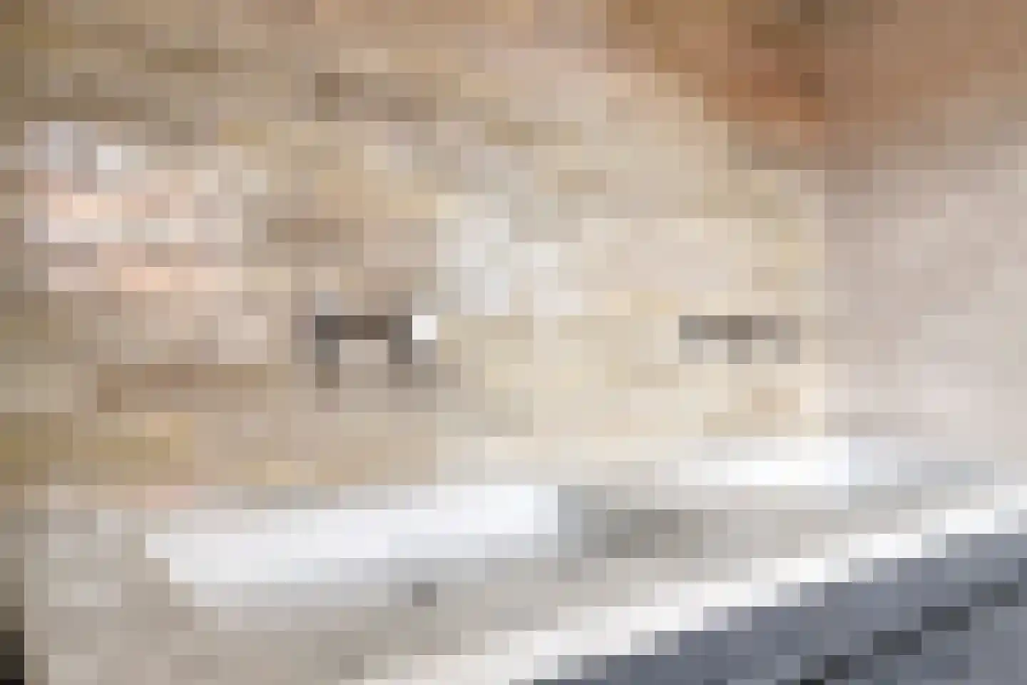 Losbaan 27 Grubbenvorst thumbnail 20