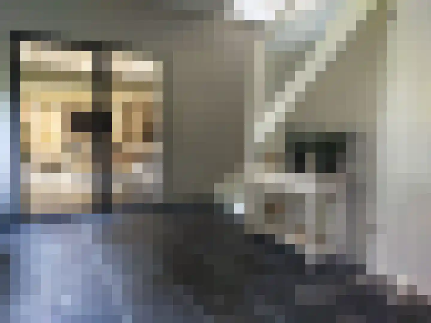 Losbaan 27 Grubbenvorst thumbnail 21