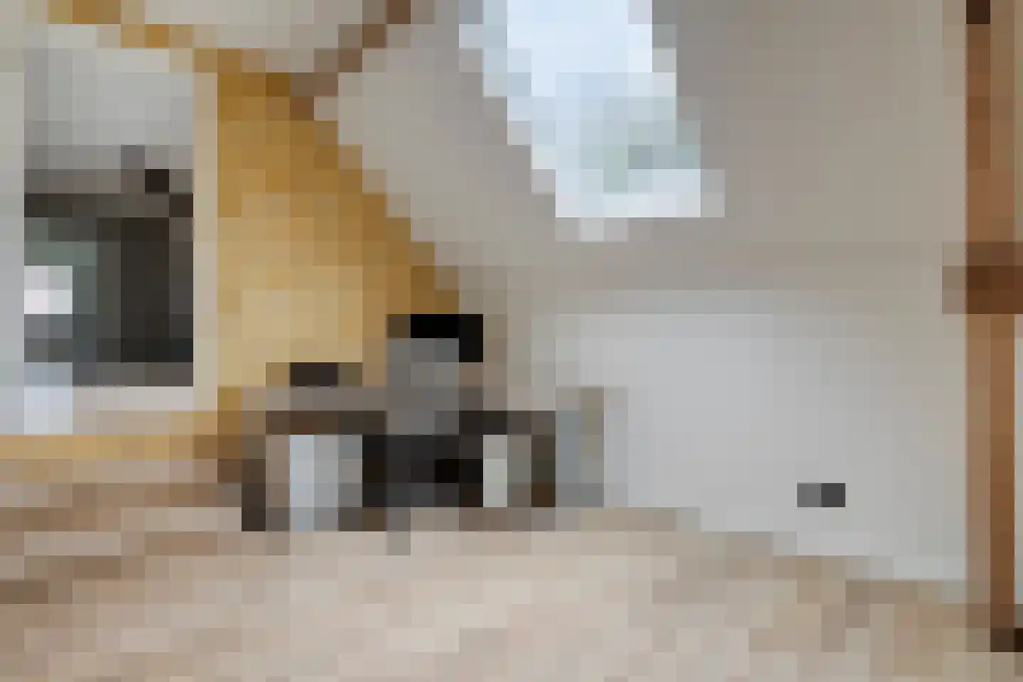 Losbaan 27 Grubbenvorst thumbnail 32