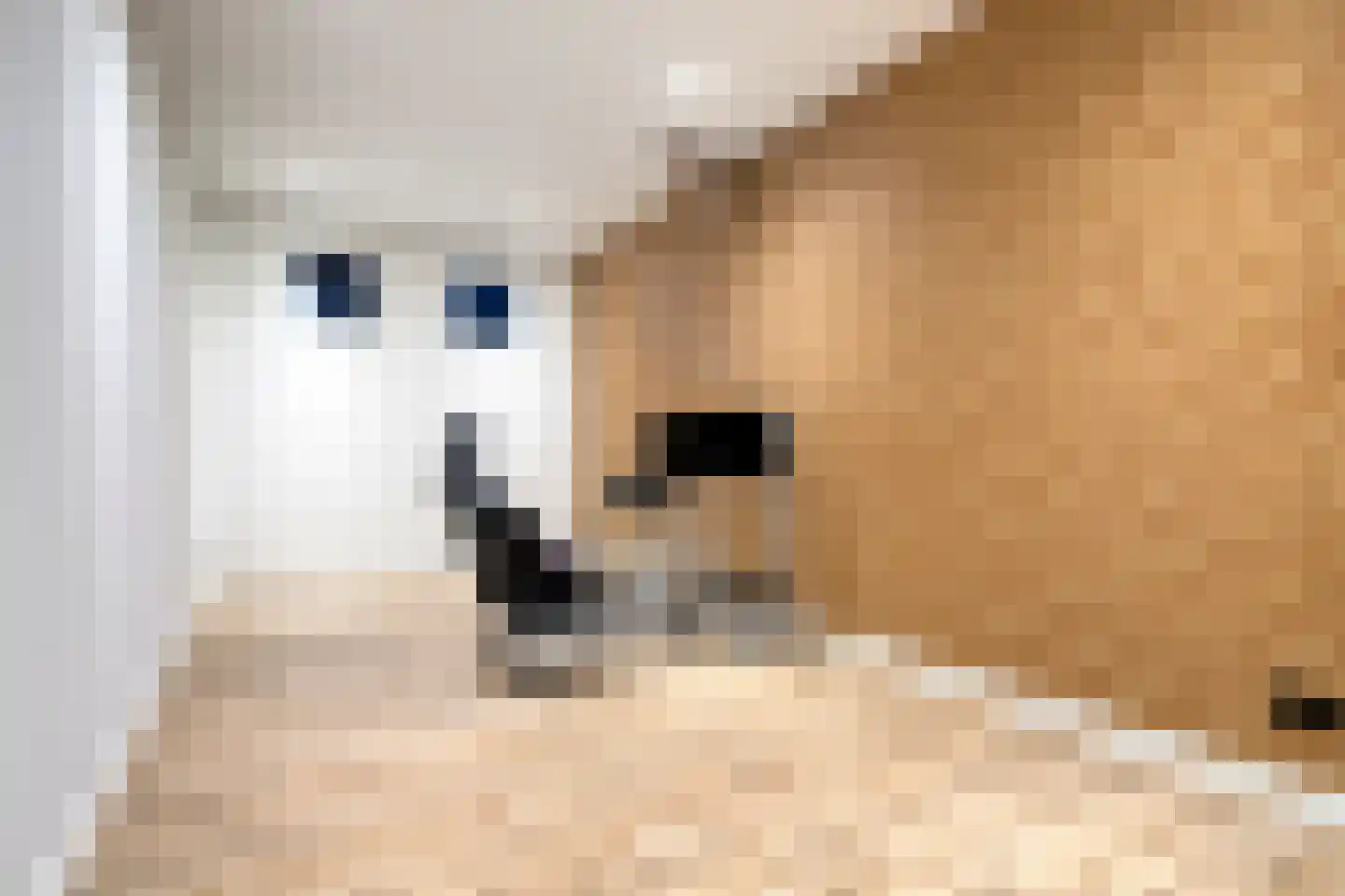 Losbaan 27 Grubbenvorst thumbnail 35