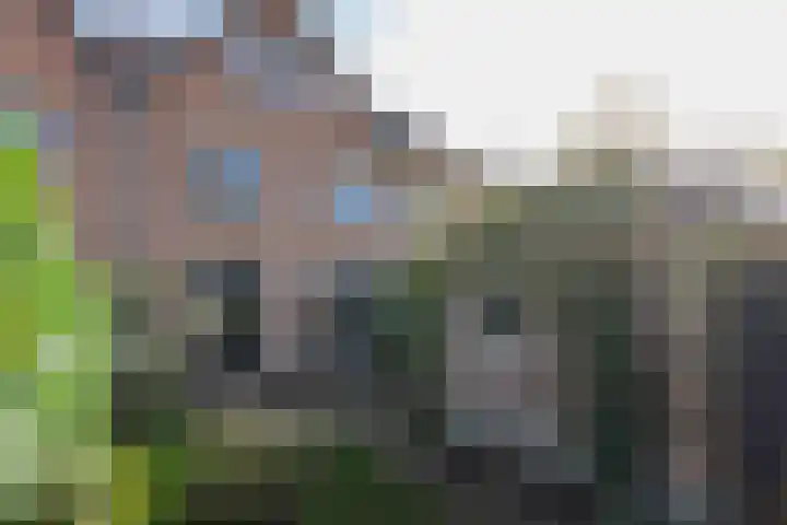 Losbaan 27 Grubbenvorst thumbnail 45