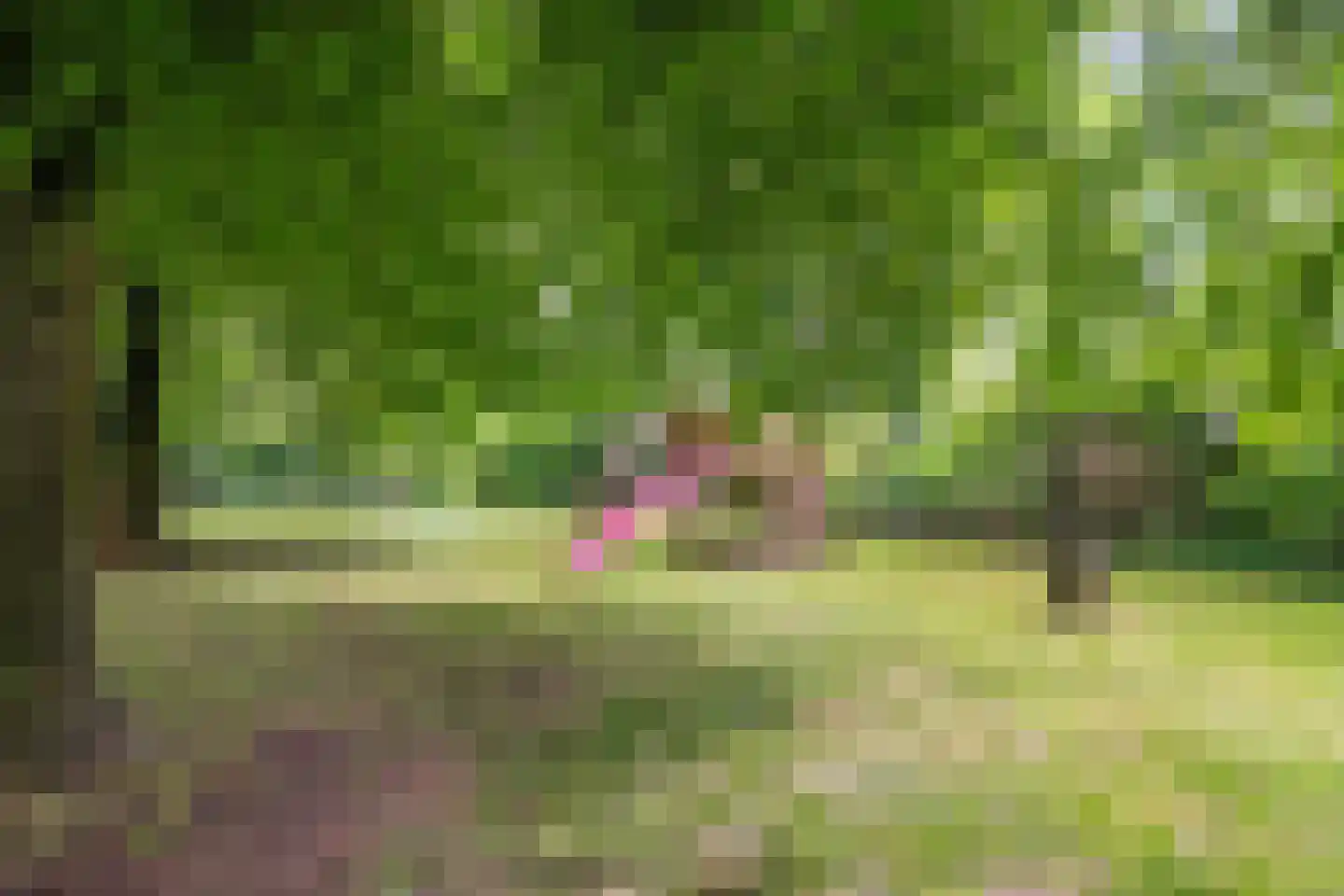 Losbaan 27 Grubbenvorst thumbnail 57
