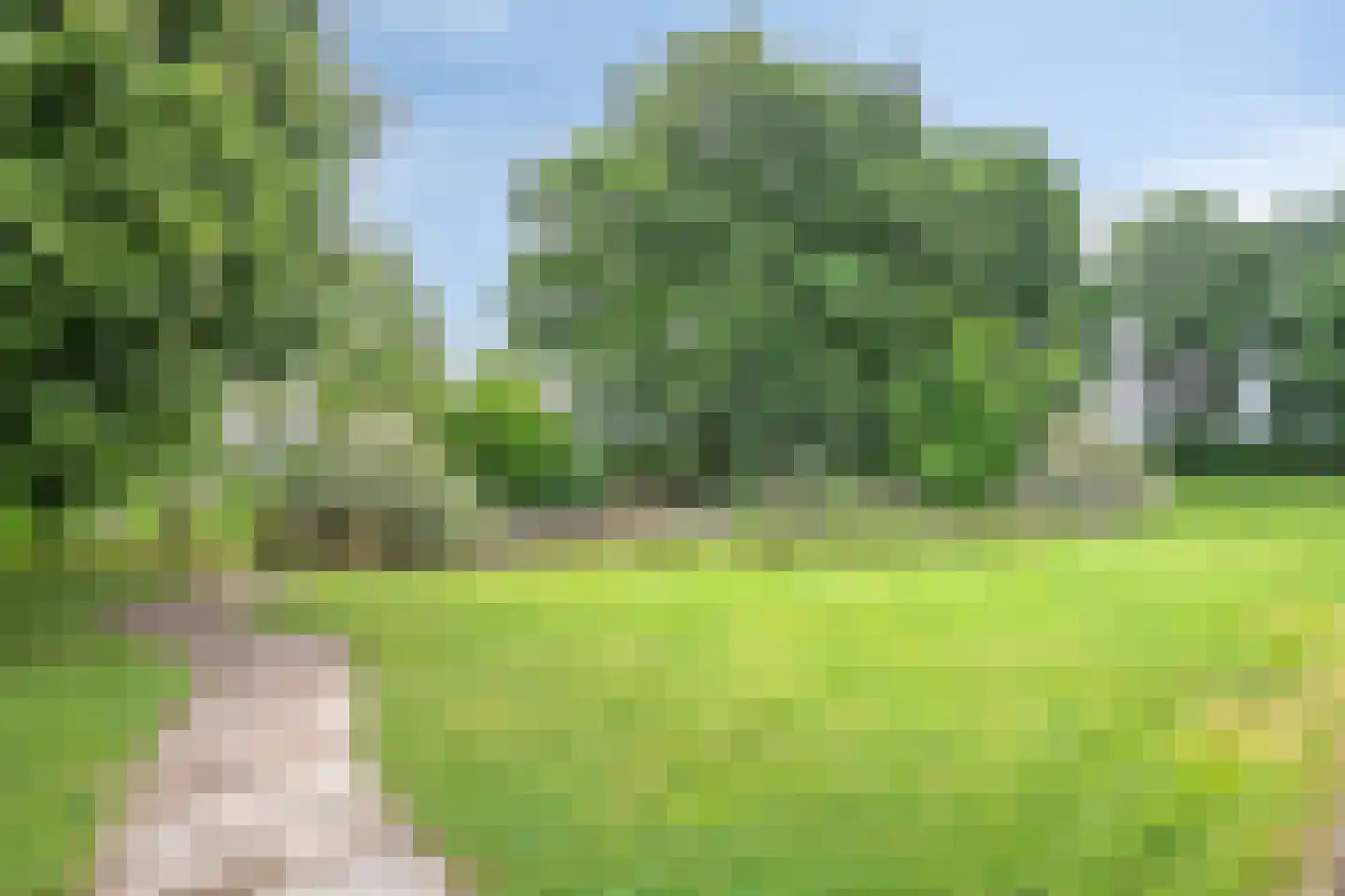 Losbaan 27 Grubbenvorst thumbnail 58