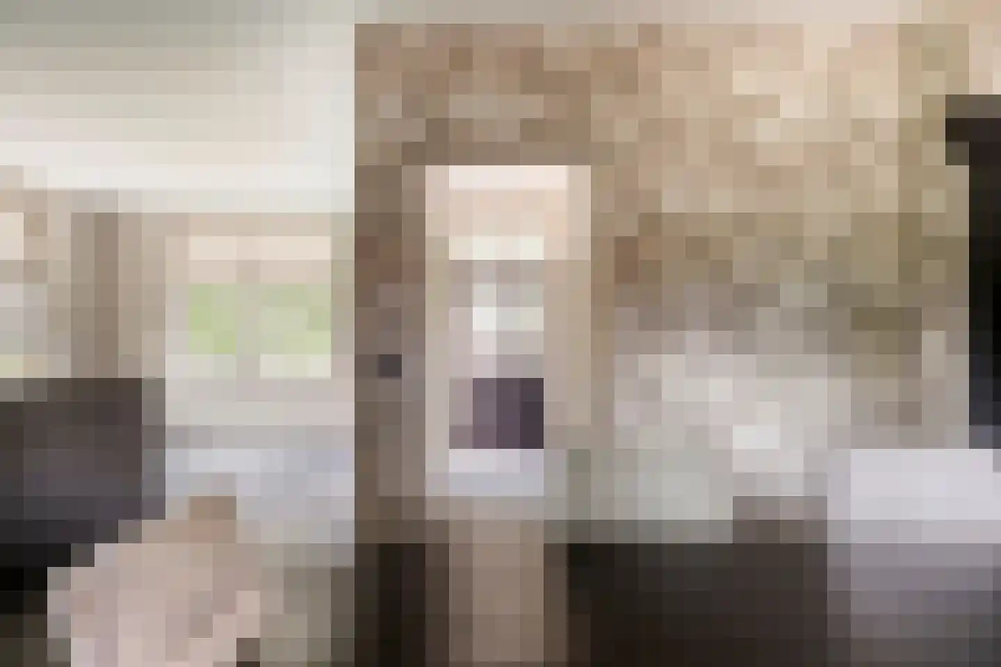 Losbaan 27 Grubbenvorst thumbnail 6