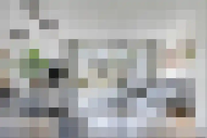 Losbaan 27 Grubbenvorst thumbnail 7