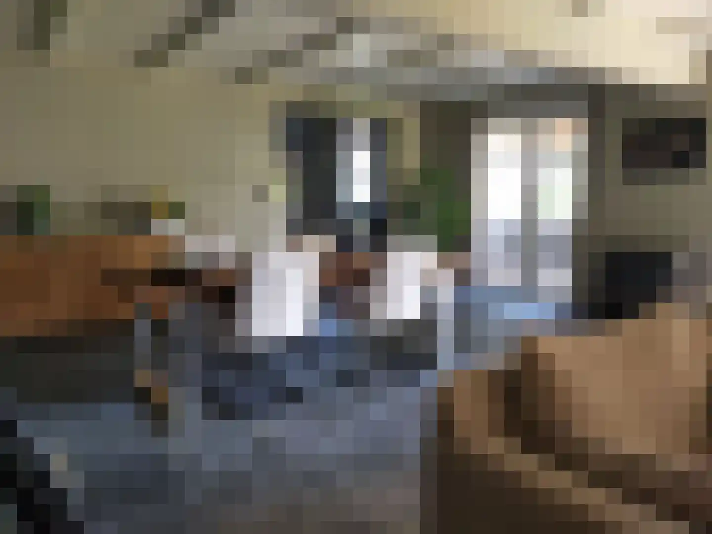 Losbaan 27 Grubbenvorst thumbnail 8