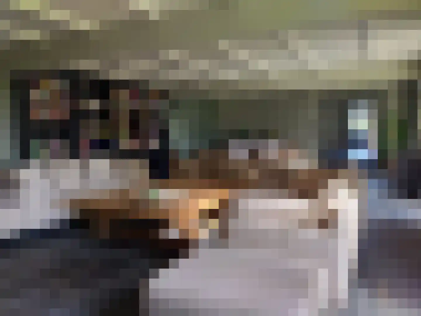 Losbaan 27 Grubbenvorst thumbnail 9