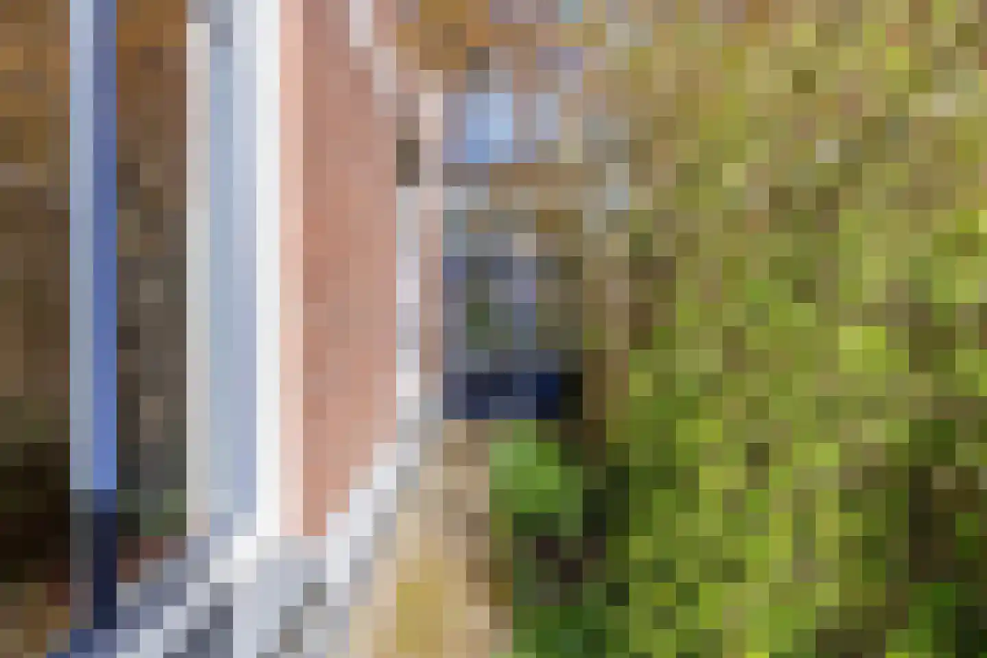 Loseweg 11 Apeldoorn thumbnail 33