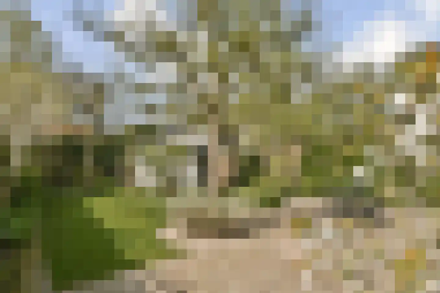 Loseweg 11 Apeldoorn thumbnail 7