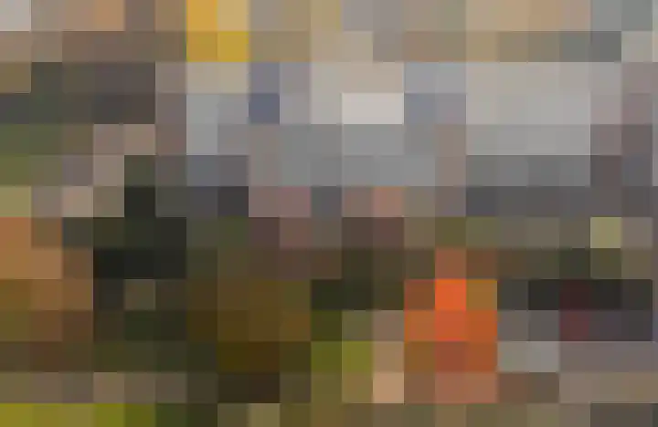 Loseweg 115 Apeldoorn thumbnail 24