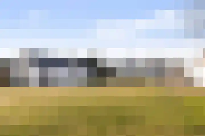 Loseweg 12 Apeldoorn thumbnail 31