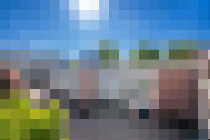 Loseweg 137 Apeldoorn thumbnail 21