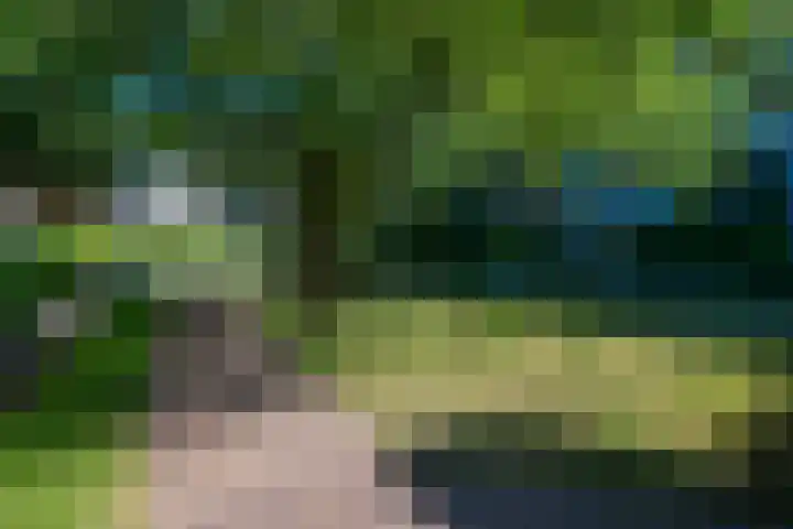 Loseweg 137 Apeldoorn thumbnail 27