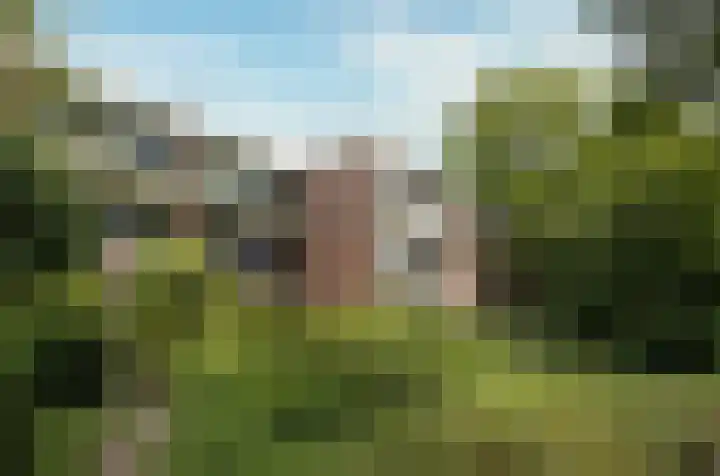 Loseweg 141 Apeldoorn thumbnail 25