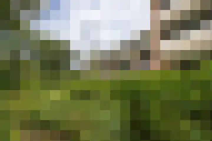 Loseweg 141 Apeldoorn thumbnail 29