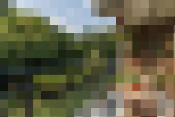 Loseweg 141 Apeldoorn thumbnail 5
