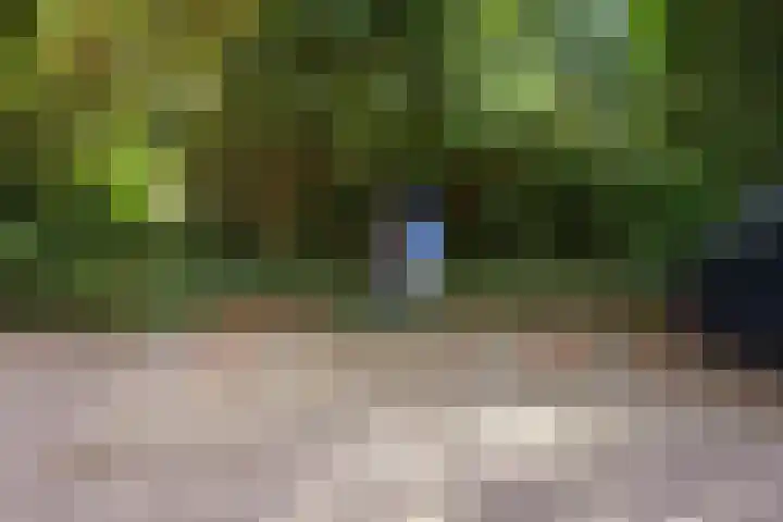 Loseweg 163 Apeldoorn thumbnail 33