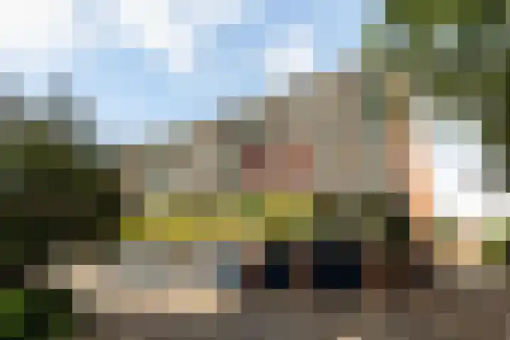 Loseweg 163 Apeldoorn thumbnail 34