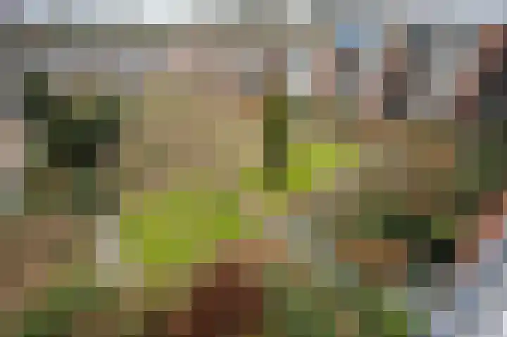 Loseweg 221 Apeldoorn thumbnail 14