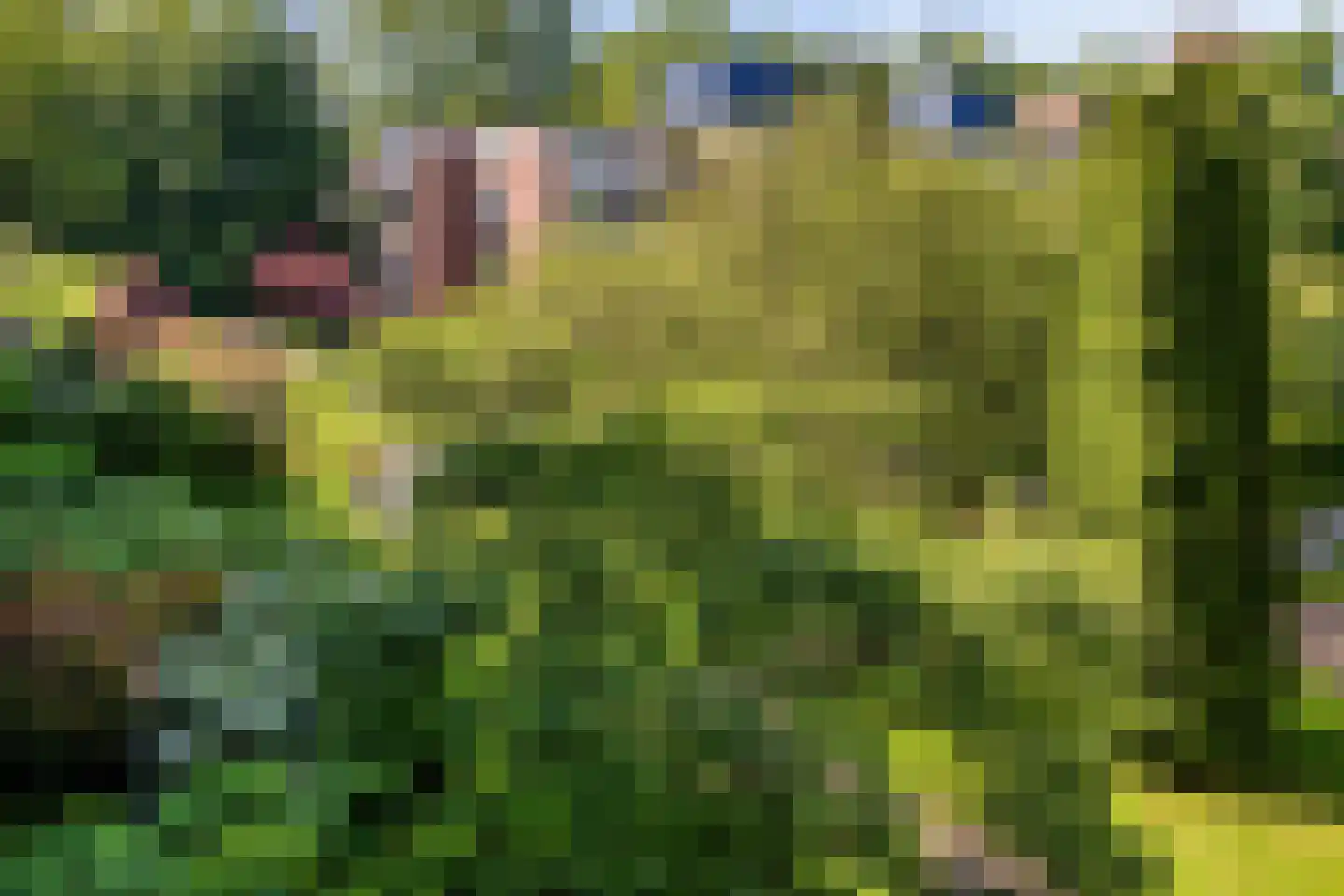 Loseweg 241 Apeldoorn thumbnail 32