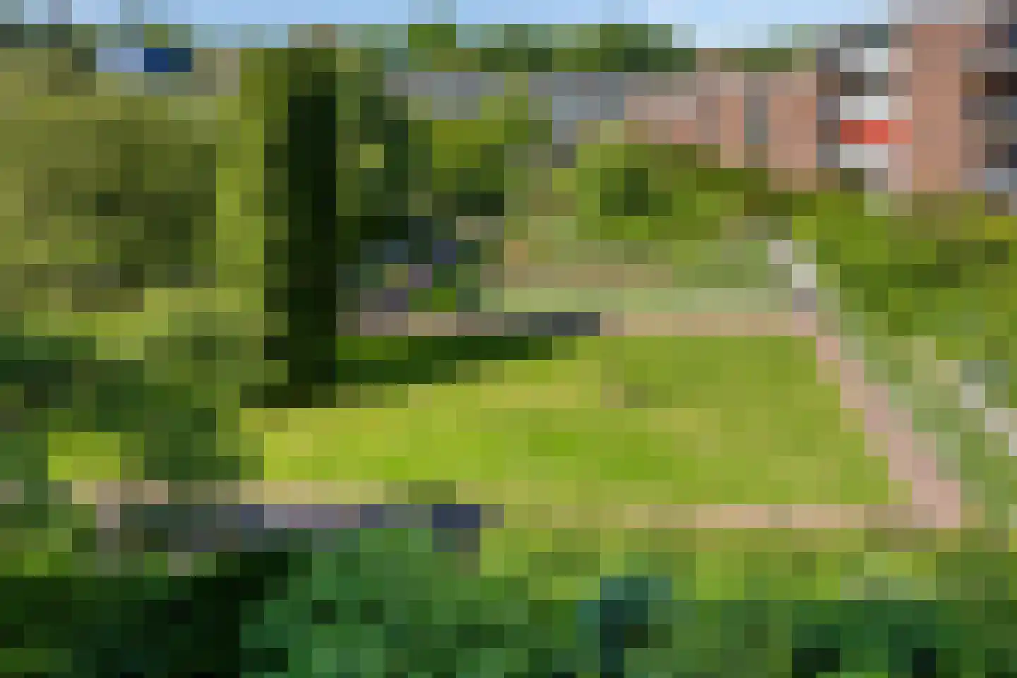 Loseweg 241 Apeldoorn thumbnail 5