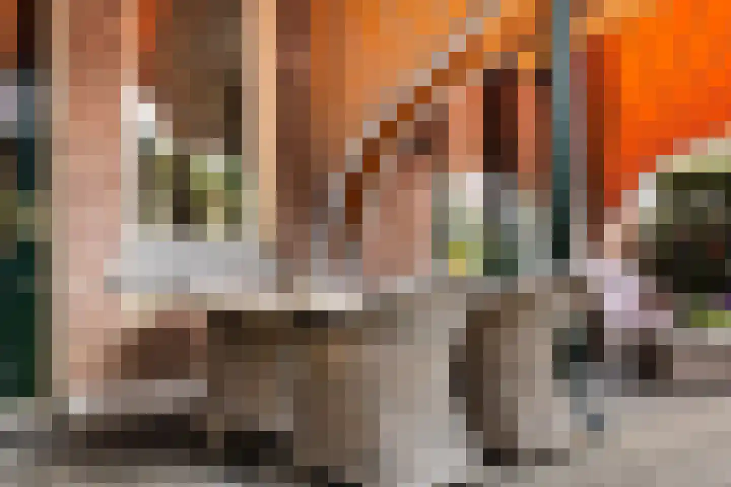 Loseweg 242 Apeldoorn thumbnail 20