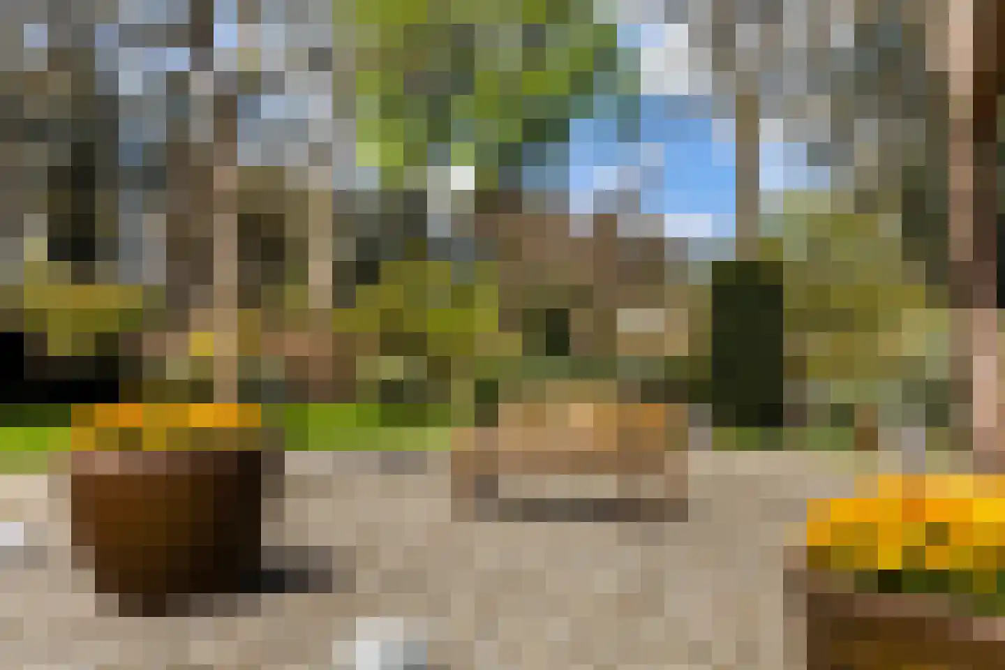 Loseweg 242 Apeldoorn thumbnail 22