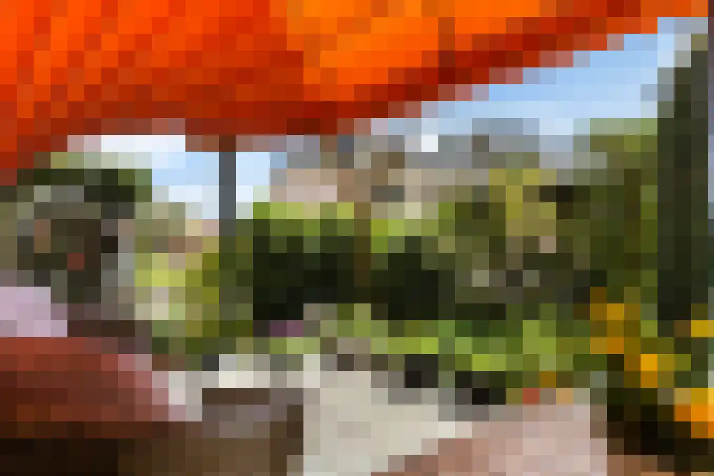Loseweg 242 Apeldoorn thumbnail 24