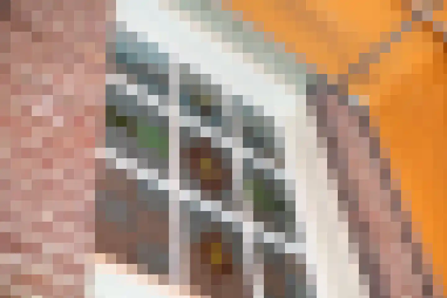 Loseweg 242 Apeldoorn thumbnail 48